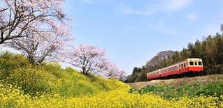 千葉県