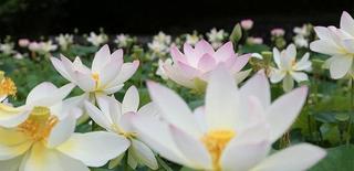 和歌山県