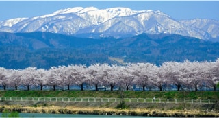 山形県