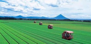 鹿児島県
