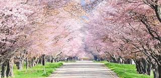 自治体・事業者様ご紹介