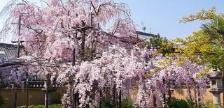 奈良県