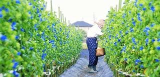 滋賀県