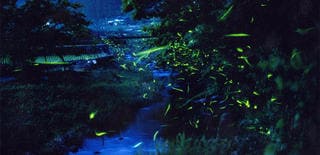 福岡県