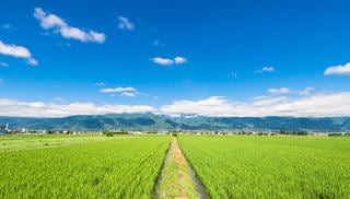 基礎知識