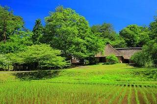 基礎知識