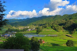 所得税率はどれくらい？確定申告でいくら納税することになる？