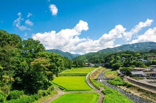 ワンストップ特例制度・確定申告