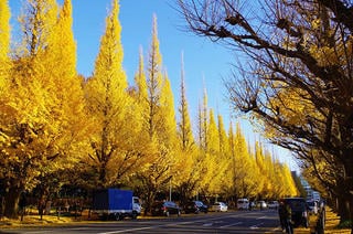 ふるさと納税制度