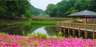宮城県
