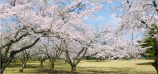 青森県