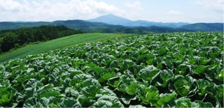 岩手県