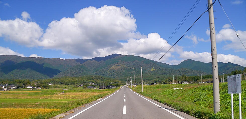 那岐山をバックに咲き誇る菜の花畑の景色は壮観 岡山県奈義町 さとふる公式 ふるさと納税ブログ