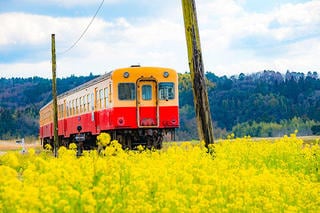 ふるさと納税制度