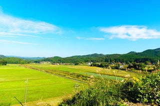 ふるさと納税制度