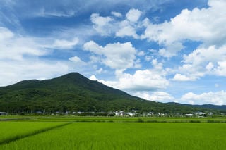 ふるさと納税制度