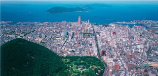 松盆栽を世界にPRするクラウドファンディングがスタート！／香川県高松市