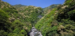 宮崎県