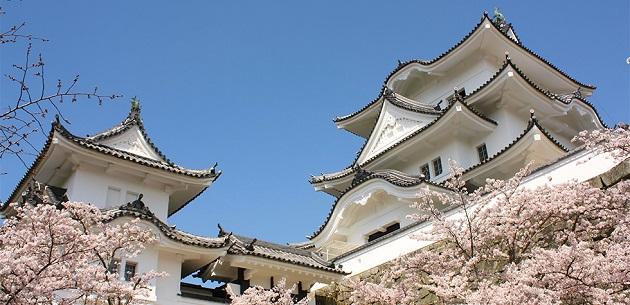 FV_三重県伊賀市.jpg