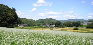 茨城県