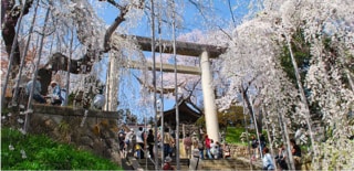 山形県