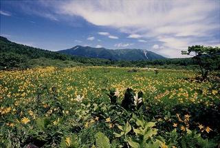 栃木県
