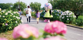 神奈川県