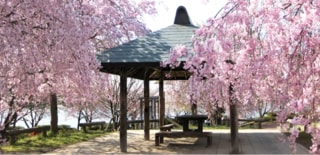 茨城県