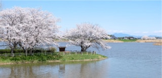 茨城県