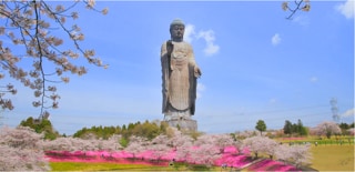 茨城県