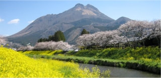 大分県