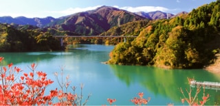 神奈川県