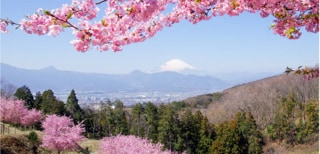 神奈川県
