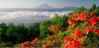 山梨県