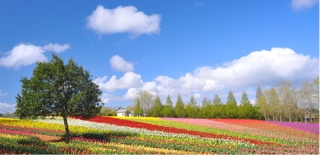 広島県