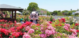 徳島県