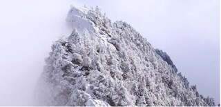 愛媛県