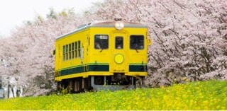 千葉県