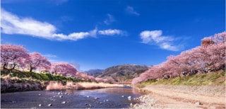 静岡県