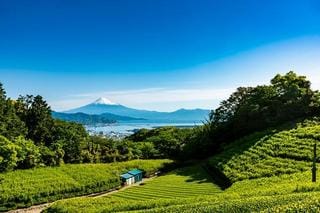 静岡県