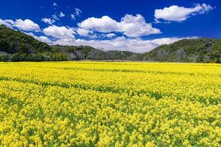 静岡県