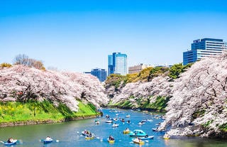伝統と革新が共存する、ダイナミックな都市／東京都