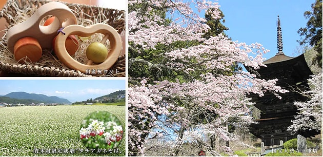 FV_長野県青木村.PNG