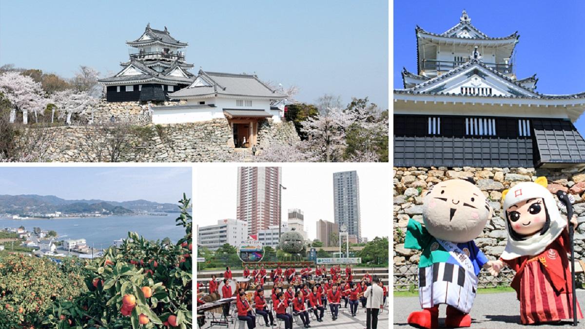 1200_浜松市_album.jpg