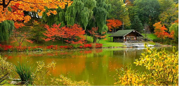 FV_北海道北見市.PNG