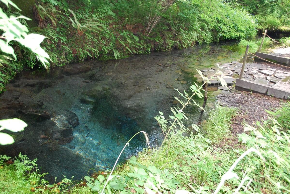 男池湧水群.jpg