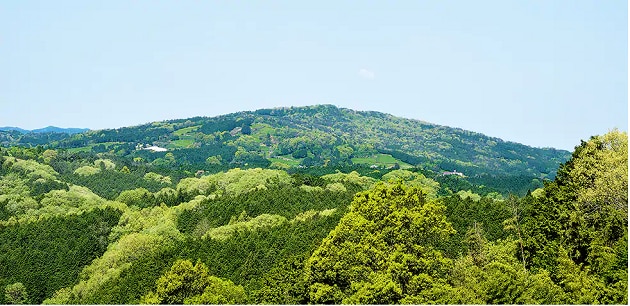 FV_奈良県山添村.PNG