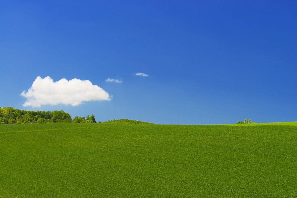 小さい_Fotolia_64189980_Subscription_Monthly_XXL.jpg