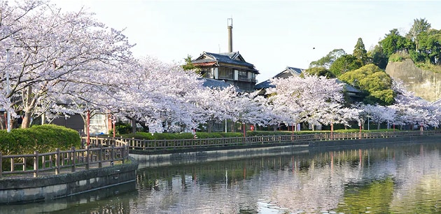 FV_千葉県東金市.PNG