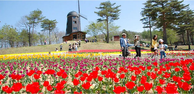 FV_岩手県軽米町.PNG